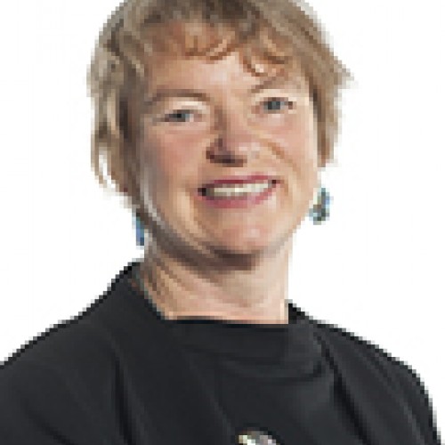 Senator Janet Rice profile image